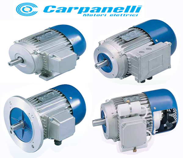 意大利Carpanelli電機
